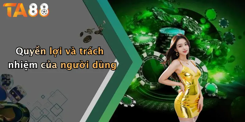 Quyền lợi và trách nhiệm của người dùng