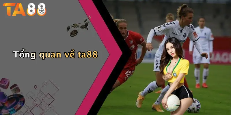 Tổng quan về ta88